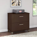 2 Drawer Lateral File Cabinet with Storage