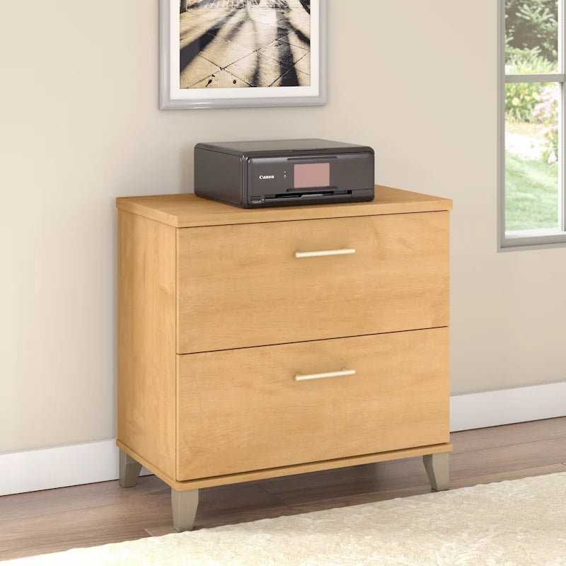 2 Drawer Lateral File Cabinet with Storage