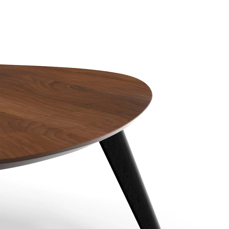 Mid-Century Modern Wood Veneer Coffee Table with Kidney Shaped Top for Living Room