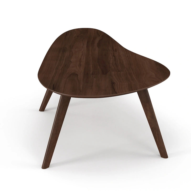 Mid-Century Modern Wood Veneer Coffee Table with Kidney Shaped Top for Living Room